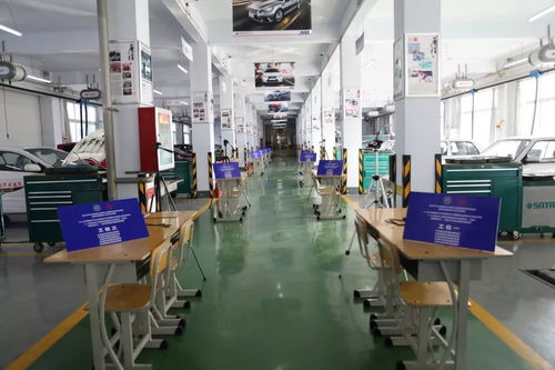 汽車運用與維修新紀元 智能新能源汽車職業(yè)技能等級證書試點考評圓滿成功